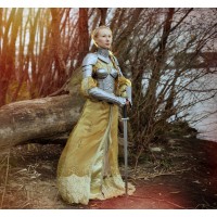 Steel Armor Set Queen of the Lake